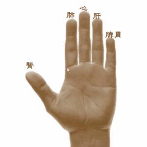五行能量魔戒